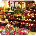 Isle of flowers Florist in St. Pancras Station image 2