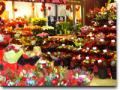 Isle of flowers Florist in St. Pancras Station image 4