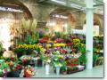 Isle of flowers Florist in St. Pancras Station image 6