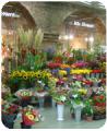 Isle of flowers Florist in St. Pancras Station logo