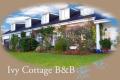Ivy Cottage NI Bed and Breakfast image 7