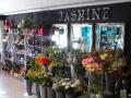 Jasmine Designer Florist: Specialist in Wedding flowers & Table decoration hire logo