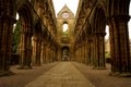 Jedburgh Abbey image 3