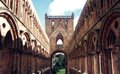 Jedburgh Abbey image 4