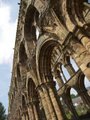 Jedburgh Abbey image 10