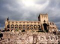 Jedburgh Abbey logo