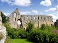 Jervaulx Abbey & Tea Rooms image 4