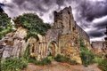 Jervaulx Abbey & Tea Rooms image 1