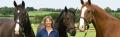 Jo Bates - Show Horse Producer, Rider & Trainer logo
