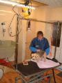 K9 CUTS DOG GROOMING image 1