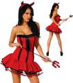 Kane's Hen Night Costumes image 2