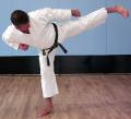 Karate Kick Boxing Martial Arts Hemel image 1