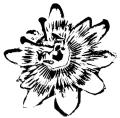 Karen Morgan, Passion for Flowers logo