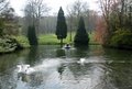 Kearsney Abbey Gardens image 2