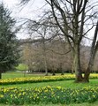 Kearsney Abbey Gardens image 5