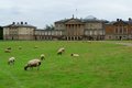 Kedleston Hall image 5