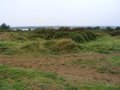 Kenfig National Nature Reserve image 3