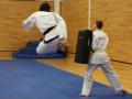 Kent TaeKwonDo image 2