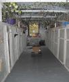 Keyham Boarding Kennels and Cattery image 6