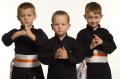 Kids Kung Fu image 3