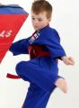 Kidsgrove Taekwondo logo