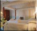 Kingston House Guest House Torquay image 4