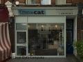 Kitten to Cat Veterinary Clinic, Richmond, West London image 9