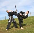 Kuk Sool Won of Halesworth image 4