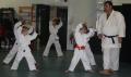 Kyokutan Karate image 2