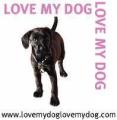 LOVE MY DOG LOVE MY DOG logo