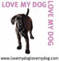 LOVE MY DOG LOVE MY DOG image 1