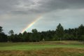 Ladybank Golf Club logo