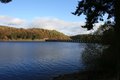Lake Vyrnwy image 4