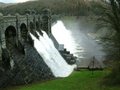 Lake Vyrnwy image 7