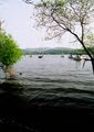 Lake Windermere image 2
