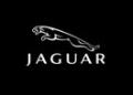 Lancaster Sevenoaks Jaguar image 3