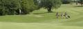 Lanhydrock Golf Hotels image 10