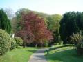 Lanteglos Country House Hotel image 2
