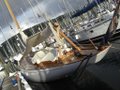 Largs Yacht Haven image 3