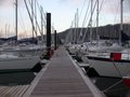 Largs Yacht Haven image 4