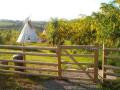 Larkhill Tipis image 2