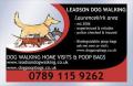Leadson Dog Walking image 2