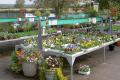 Lealans Garden Centre image 2