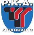 Learn American Kickboxing logo