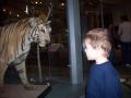 Leeds City Museum image 4