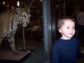 Leeds City Museum image 7