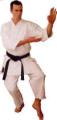 Leicester Karate Club image 1