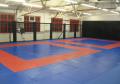 Leicester MMA Academy (Leicester Shootfighters) Mixed Martial Arts,Grappling,BJJ image 1