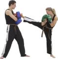 Leicester Martial Arts: Karate Lessons, Kickboxing,MMA,Grappling,Selfdefence logo