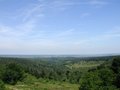 Leith Hill image 2